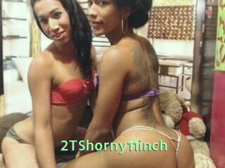 2TShorny11inch