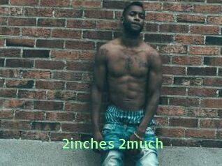 2inches_2much