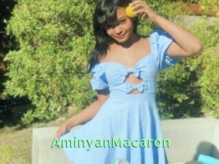 AminyanMacaron