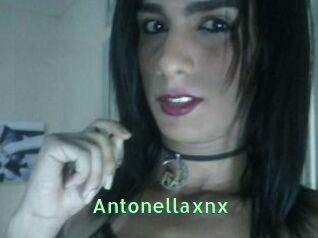 Antonellaxnx