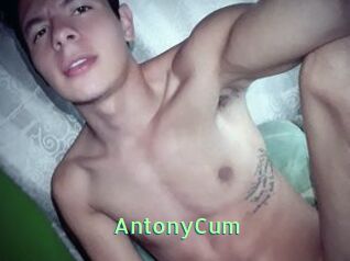 AntonyCum