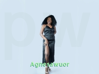 Agnesawuor