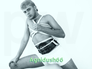 Agnidush66