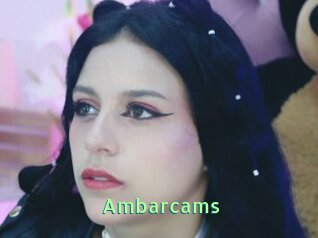 Ambarcams