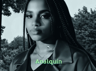 Analquin