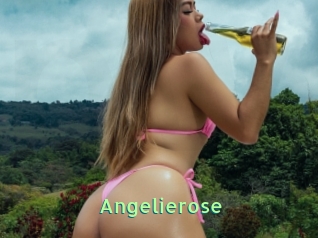 Angelierose