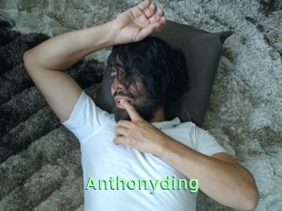 Anthonyding