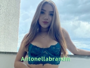 Antonellabrandm