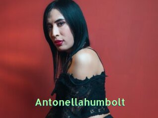 Antonellahumbolt