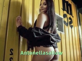 Antonellasallow