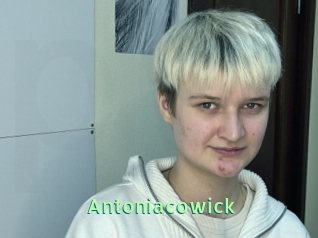 Antoniacowick