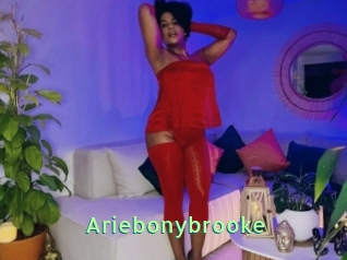 Ariebonybrooke