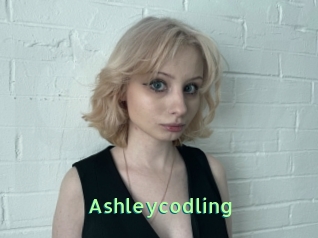 Ashleycodling