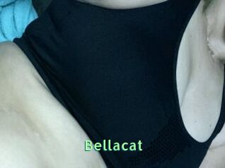 Bella_cat