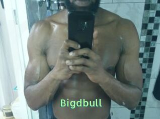 Bigdbull