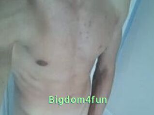 Bigdom4fun