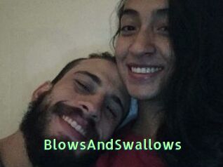 BlowsAndSwallows