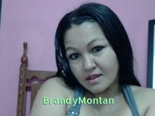 BrandyMontan