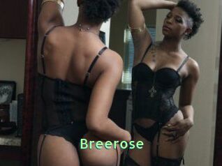 Breerose