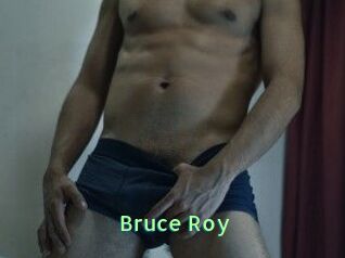 Bruce_Roy