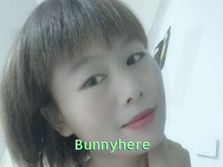 Bunnyhere