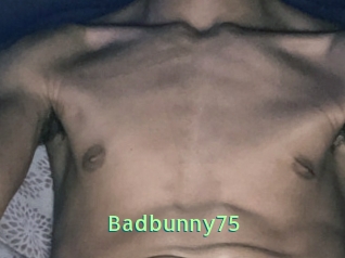Badbunny75