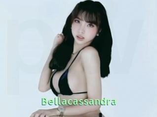 Bellacassandra