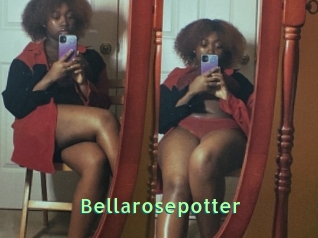 Bellarosepotter