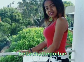 Bellechattepoilue