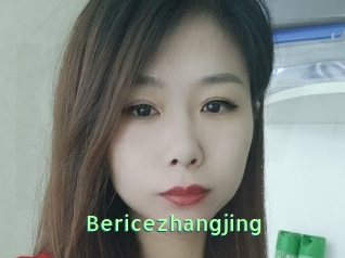 Bericezhangjing