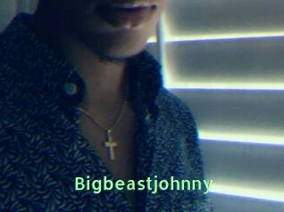 Bigbeastjohnny