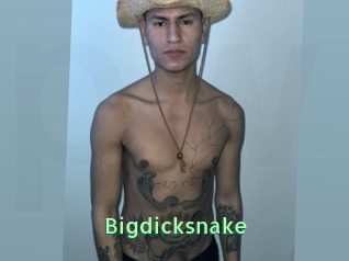 Bigdicksnake