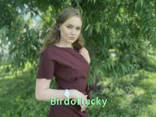 Birdoflucky