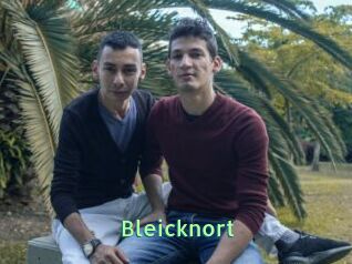 Bleicknort