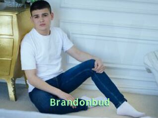 Brandonbud