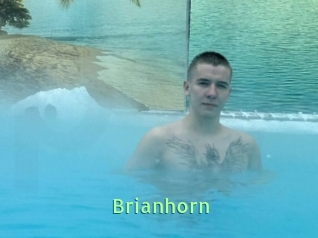 Brianhorn