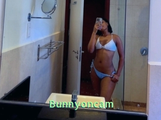 Bunnyoncam