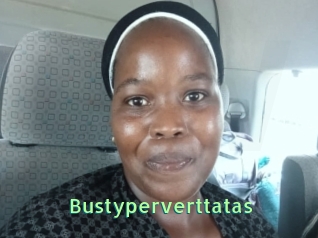 Bustyperverttatas