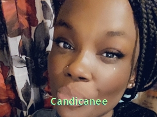 Candicanee