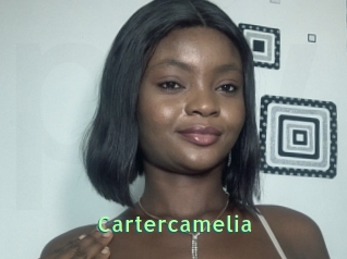 Cartercamelia