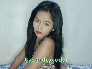 Casandracedar