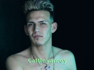Cattleyanrey