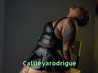 Cattleyarodrigue