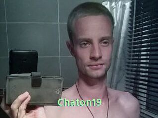 Chaton19