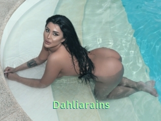 Dahliarains