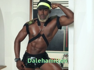Dalehamilton