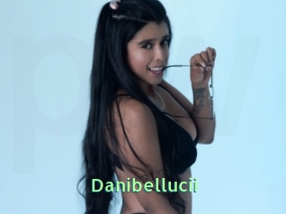 Danibellucii
