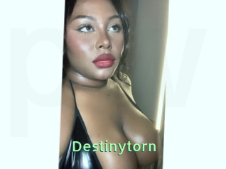 Destinytorn
