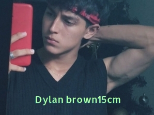 Dylan_brown15cm