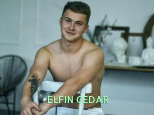 ELFIN_CEDAR
